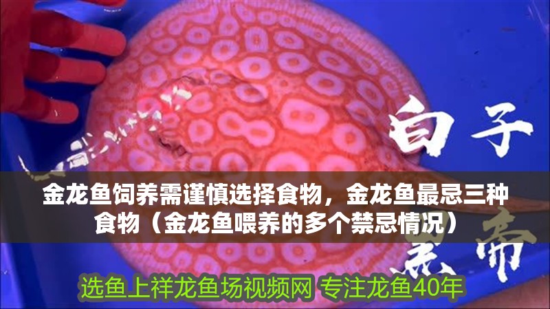 金龍魚飼養需謹慎選擇食物，金龍魚最忌三種食物（金龍魚喂養的多個禁忌情況）