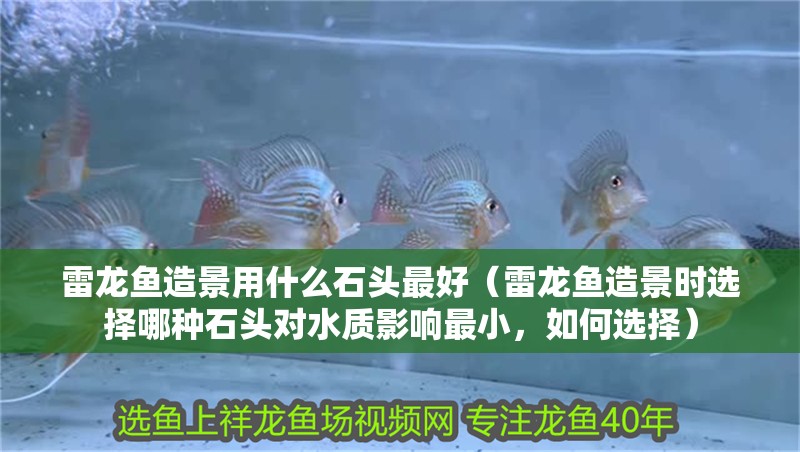 雷龍魚造景用什么石頭最好（雷龍魚造景時選擇哪種石頭對水質(zhì)影響最小，如何選擇） 雷龍魚造景用什么石頭最好（雷龍魚造景時選擇哪種石頭對水質(zhì)影響最小，如何選擇） 觀賞魚百科