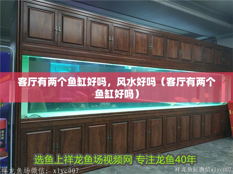 客廳有兩個魚缸好嗎，風水好嗎（客廳有兩個魚缸好嗎）