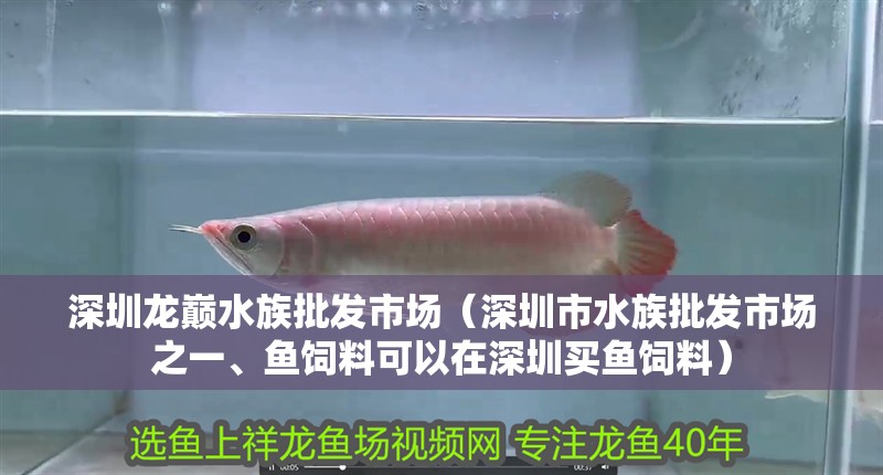 深圳龍巔水族批發(fā)市場(chǎng)（深圳市水族批發(fā)市場(chǎng)之一、魚(yú)飼料可以在深圳買(mǎi)魚(yú)飼料）