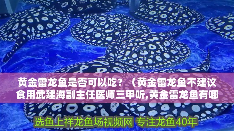 黃金雷龍魚是否可以吃？（黃金雷龍魚不建議食用武建海副主任醫師三甲聽,黃金雷龍魚有哪些天敵）