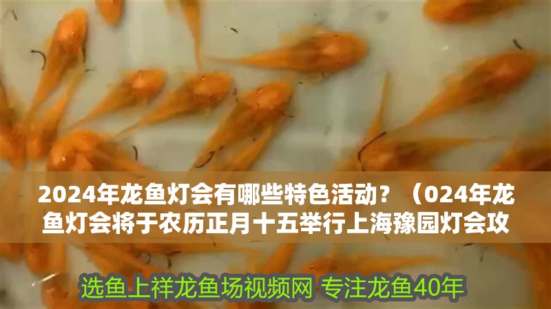 2024年龍魚燈會(huì)有哪些特色活動(dòng)？（024年龍魚燈會(huì)將于農(nóng)歷正月十五舉行上海豫園燈會(huì)攻略）