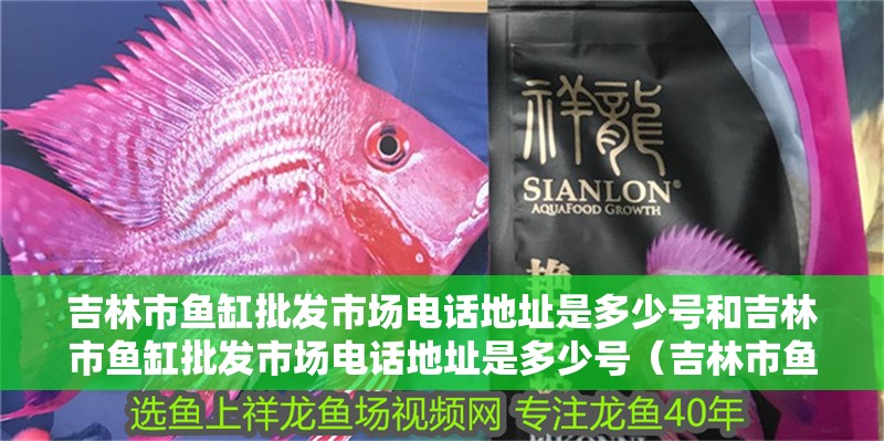 吉林市魚(yú)缸批發(fā)市場(chǎng)電話地址是多少號(hào)和吉林市魚(yú)缸批發(fā)市場(chǎng)電話地址是多少號(hào)（吉林市魚(yú)缸批發(fā)市場(chǎng)電話地址是多少號(hào)）