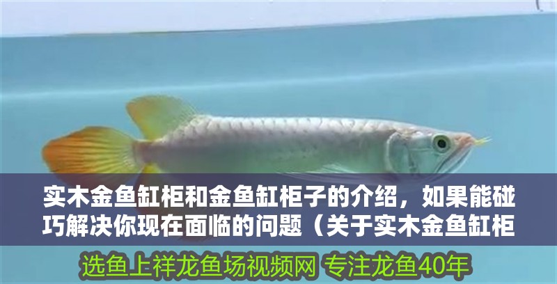 實木金魚缸柜和金魚缸柜子的介紹，如果能碰巧解決你現在面臨的問題（關于實木金魚缸柜和金魚缸柜子的介紹）