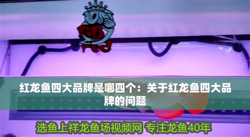 紅龍魚四大品牌是哪四個：關于紅龍魚四大品牌的問題