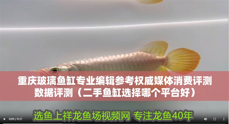 重慶玻璃魚缸專業編輯參考權威媒體消費評測數據評測（二手魚缸選擇哪個平臺好）