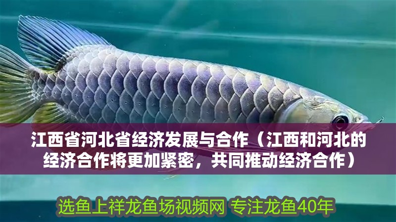 江西省河北省經濟發展與合作（江西和河北的經濟合作將更加緊密，共同推動經濟合作）