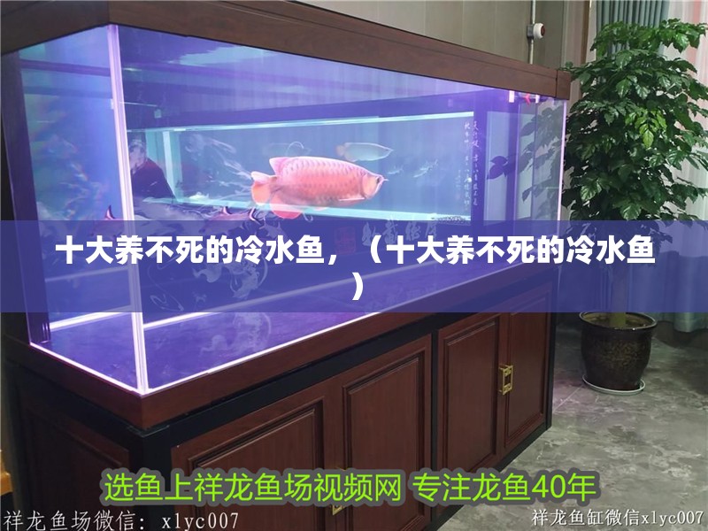 十大養(yǎng)不死的冷水魚，（十大養(yǎng)不死的冷水魚）