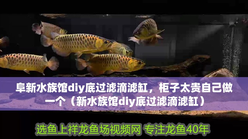 阜新水族館diy底過濾滴濾缸，柜子太貴自己做一個（新水族館diy底過濾滴濾缸）