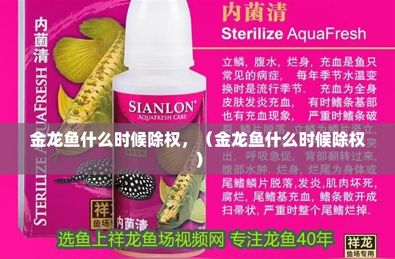 金龍魚什么時候除權，（金龍魚什么時候除權） 金龍魚什么時候除權，（金龍魚什么時候除權） 觀賞魚百科