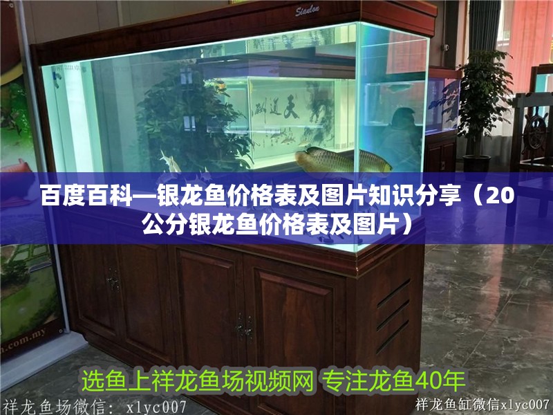 百度百科—銀龍魚價格表及圖片知識分享（20公分銀龍魚價格表及圖片）
