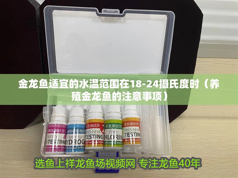 金龍魚適宜的水溫范圍在18-24攝氏度時（養殖金龍魚的注意事項）