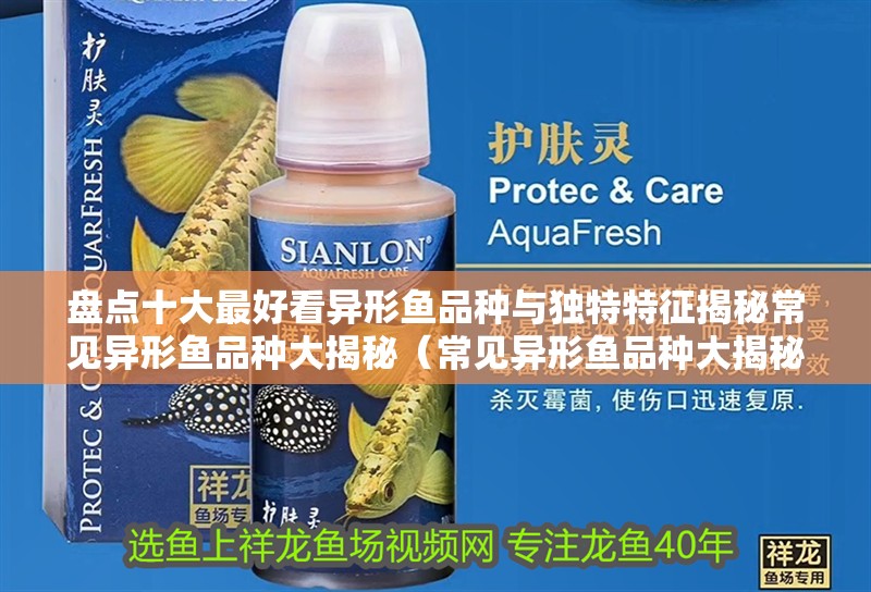 盤點十大最好看異形魚品種與獨特特征揭秘常見異形魚品種大揭秘（常見異形魚品種大揭秘,看看這些奇特魚類你認識嗎）