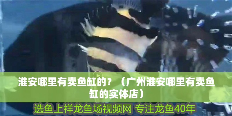 <strong><mark>淮安</mark></strong>哪里有賣魚缸的？（廣州<strong><mark>淮安</mark></strong>哪里有賣魚缸的實體店）