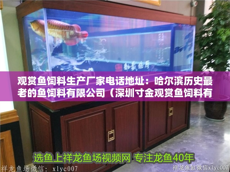 觀賞魚飼料生產廠家電話地址：哈爾濱歷史最老的魚飼料有限公司（深圳寸金觀賞魚飼料有限公司）