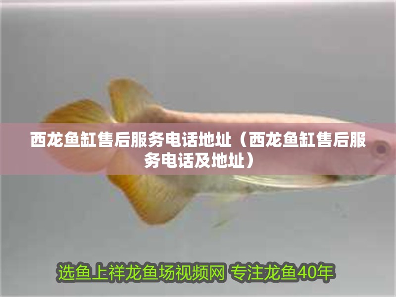 西龍魚缸售后服務電話地址（西龍魚缸售后服務電話及地址）