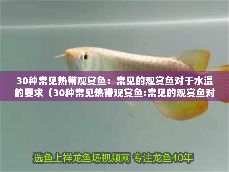 30種常見熱帶觀賞魚：常見的觀賞魚對于水溫的要求（30種常見熱帶觀賞魚:常見的觀賞魚對于水溫的要求）