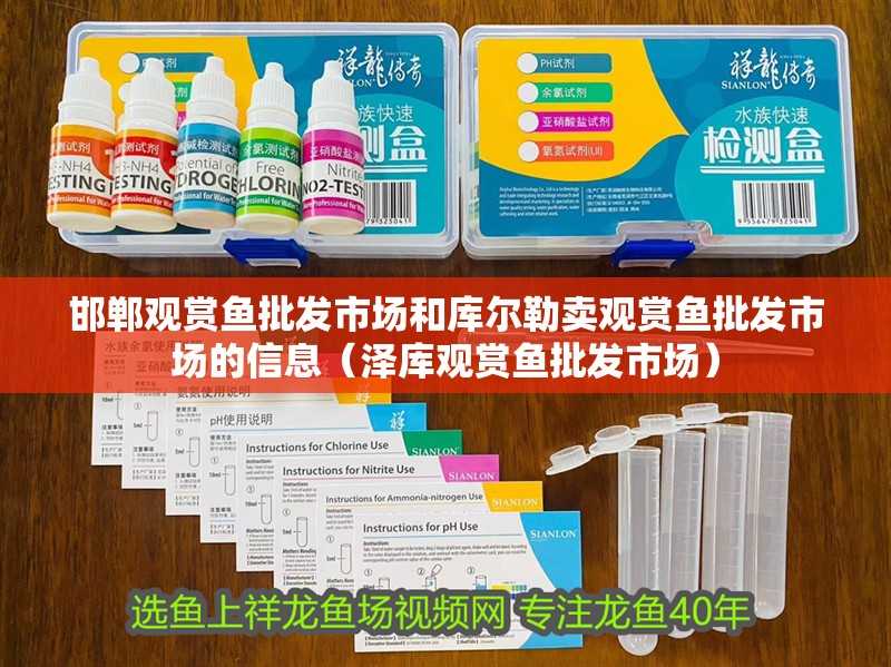 邯鄲觀賞魚批發市場和庫爾勒賣觀賞魚批發市場的信息（澤庫觀賞魚批發市場）