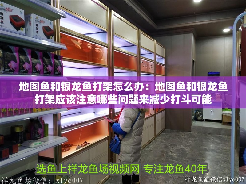 地圖魚和銀龍魚打架怎么辦：地圖魚和銀龍魚打架應該注意哪些問題來減少打斗可能