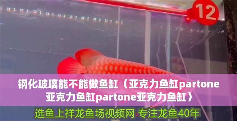 鋼化玻璃能不能做魚缸（亞克力魚缸partone亞克力魚缸partone亞克力魚缸）