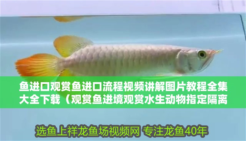 魚進口觀賞魚進口流程視頻講解圖片教程全集大全下載（觀賞魚進境觀賞水生動物指定隔離檢疫場使用）
