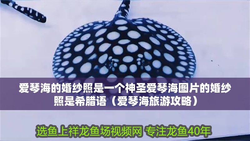 愛(ài)琴海的婚紗照是一個(gè)神圣愛(ài)琴海圖片的婚紗照是希臘語(yǔ)（愛(ài)琴海旅游攻略）