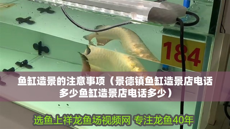 魚缸造景的注意事項（景德鎮魚缸造景店電話多少魚缸造景店電話多少）