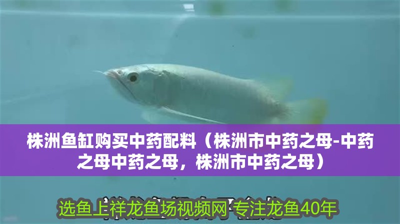 <strong><mark>株洲</mark></strong>魚缸購買中藥配料（<strong><mark>株洲</mark></strong>市中藥之母-中藥之母中藥之母，<strong><mark>株洲</mark></strong>市中藥之母）