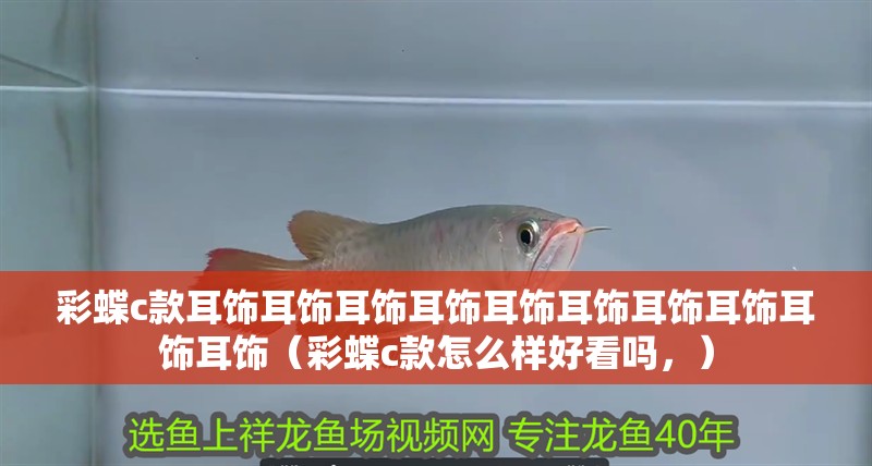 彩蝶c款耳飾耳飾耳飾耳飾耳飾耳飾耳飾耳飾耳飾耳飾（彩蝶c款怎么樣好看嗎，）