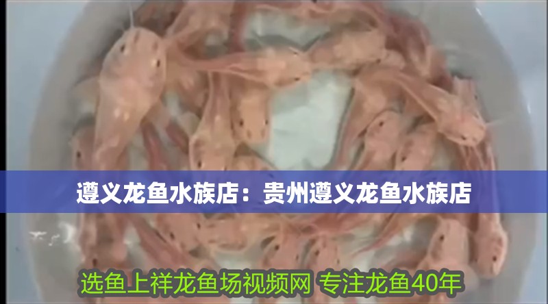 遵義龍魚水族店：貴州遵義龍魚水族店