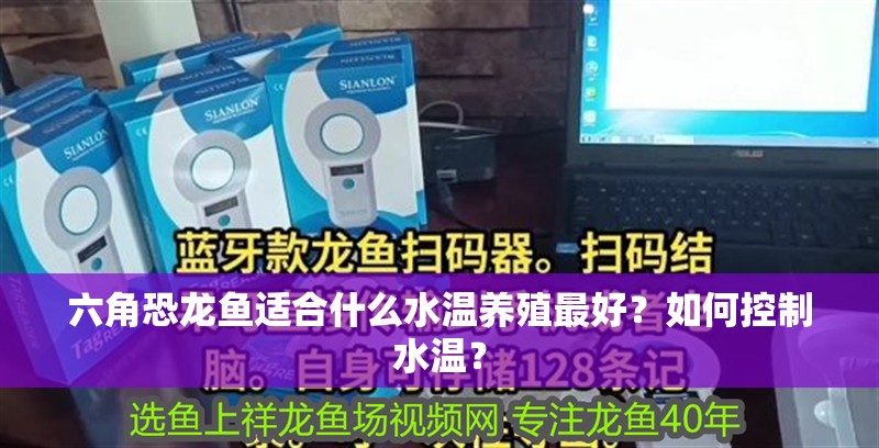 六角恐龍魚適合什么水溫養殖最好？如何控制水溫？
