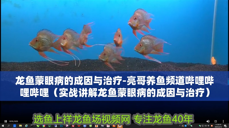 龍魚蒙眼病的成因與治療-亮哥養魚頻道嗶哩嗶哩嗶哩（實戰講解龍魚蒙眼病的成因與治療）