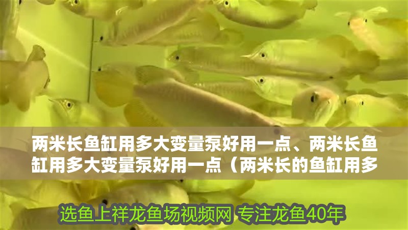 兩米長魚缸用多大變量泵好用一點、兩米長魚缸用多大變量泵好用一點（兩米長的魚缸用多大變量泵好用）