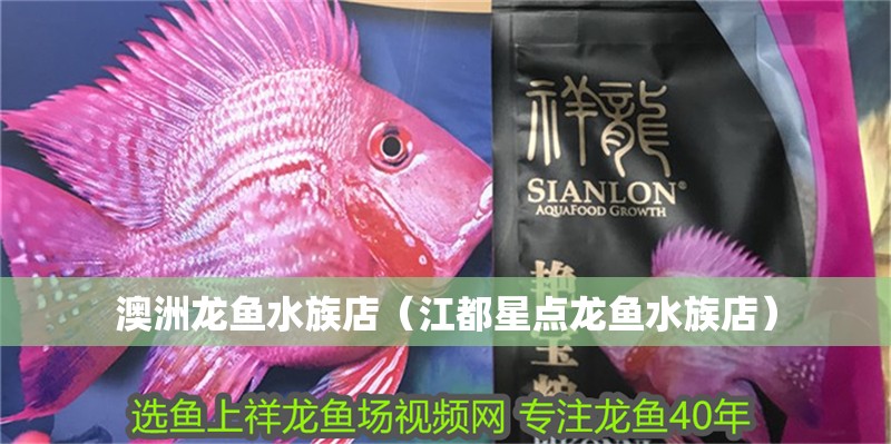 澳洲龍魚水族店（江都星點龍魚水族店）