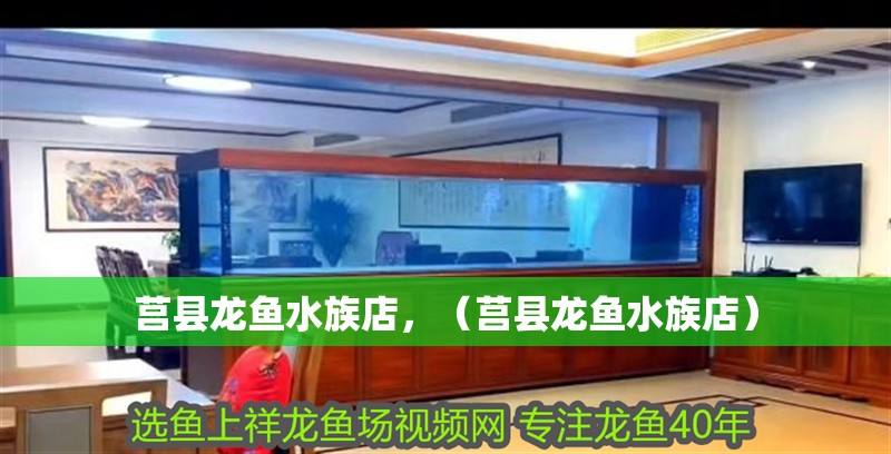 莒縣龍魚水族店，（莒縣龍魚水族店）