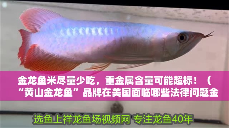 金龍魚(yú)米盡量少吃，重金屬含量可能超標(biāo)！（“黃山金龍魚(yú)”品牌在美國(guó)面臨哪些法律問(wèn)題金龍魚(yú)盡量少吃） 金龍魚(yú)米盡量少吃，重金屬含量可能超標(biāo)！（“黃山金龍魚(yú)”品牌在美國(guó)面臨哪些法律問(wèn)題金龍魚(yú)盡量少吃） 觀賞魚(yú)百科 第6張