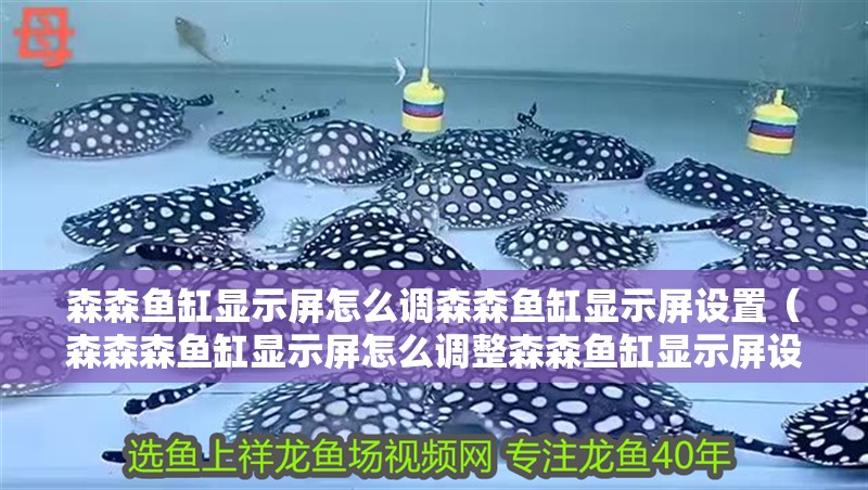 森森魚缸顯示屏怎么調森森魚缸顯示屏設置（森森森魚缸顯示屏怎么調整森森魚缸顯示屏設置事項） 森森魚缸顯示屏怎么調森森魚缸顯示屏設置（森森森魚缸顯示屏怎么調整森森魚缸顯示屏設置事項） 觀賞魚百科