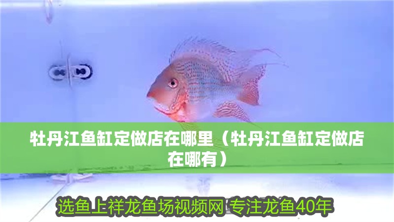<strong><mark>牡丹江</mark></strong>魚缸定做店在哪里（<strong><mark>牡丹江</mark></strong>魚缸定做店在哪有）