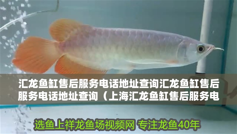 匯龍魚缸售后服務電話地址查詢匯龍魚缸售后服務電話地址查詢（上海匯龍魚缸售后服務電話地址查詢）