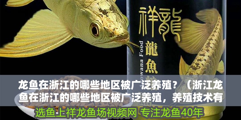 龍魚(yú)在浙江的哪些地區(qū)被廣泛養(yǎng)殖？（浙江龍魚(yú)在浙江的哪些地區(qū)被廣泛養(yǎng)殖，養(yǎng)殖技術(shù)有哪些特點(diǎn)）