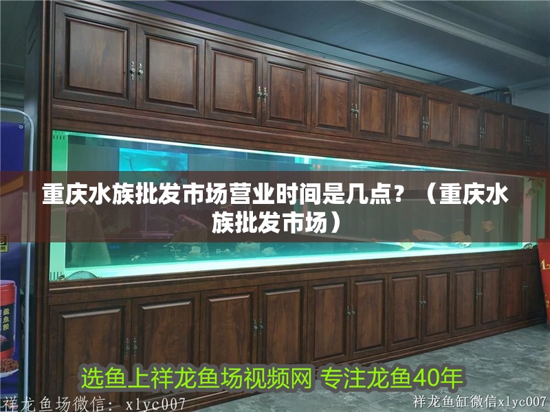 重慶水族批發(fā)市場營業(yè)時間是幾點？（重慶水族批發(fā)市場）