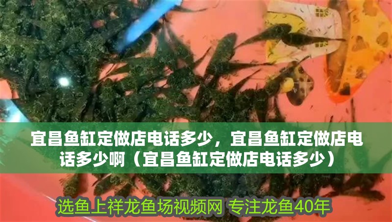 宜昌魚缸定做店電話多少，宜昌魚缸定做店電話多少?。ㄒ瞬~缸定做店電話多少）
