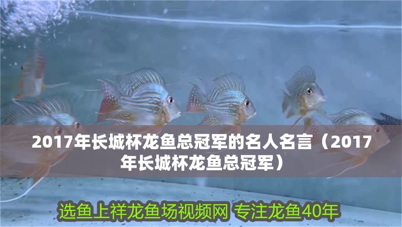 2017年長城杯龍魚總冠軍的名人名言（2017年長城杯龍魚總冠軍）