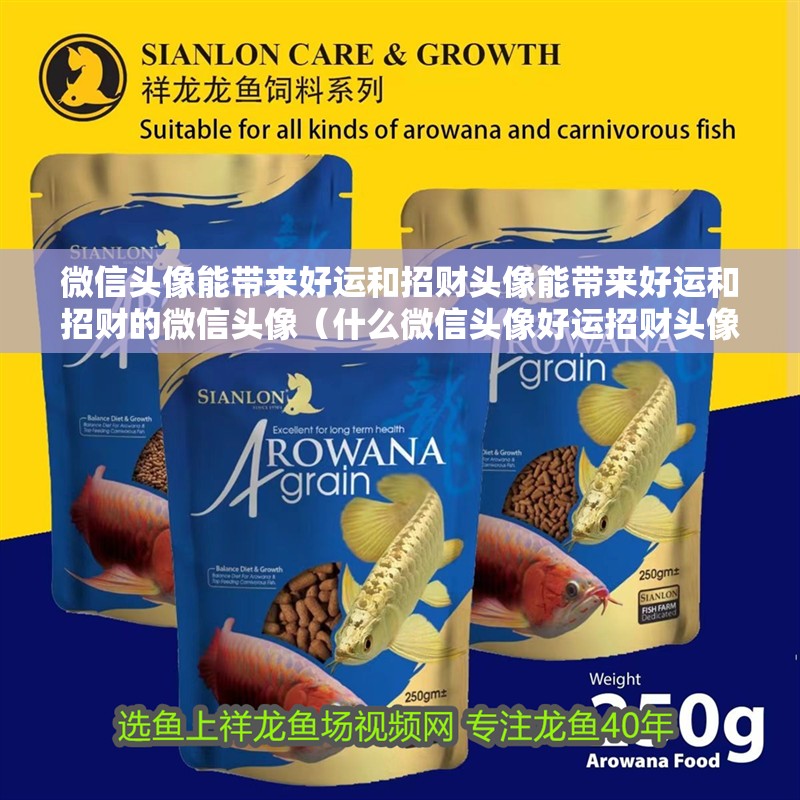 微信頭像能帶來好運和招財頭像能帶來好運和招財的微信頭像（什么微信頭像好運招財頭像）
