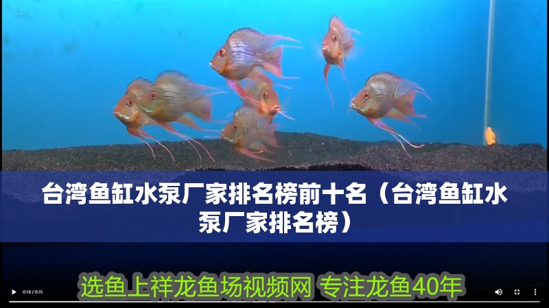 臺灣魚缸水泵廠家排名榜前十名（臺灣魚缸水泵廠家排名榜）