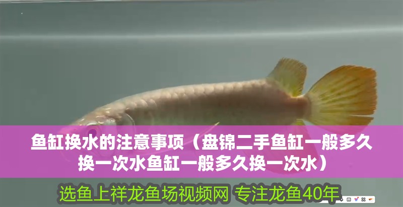 魚缸換水的注意事項（盤錦二手魚缸一般多久換一次水魚缸一般多久換一次水）