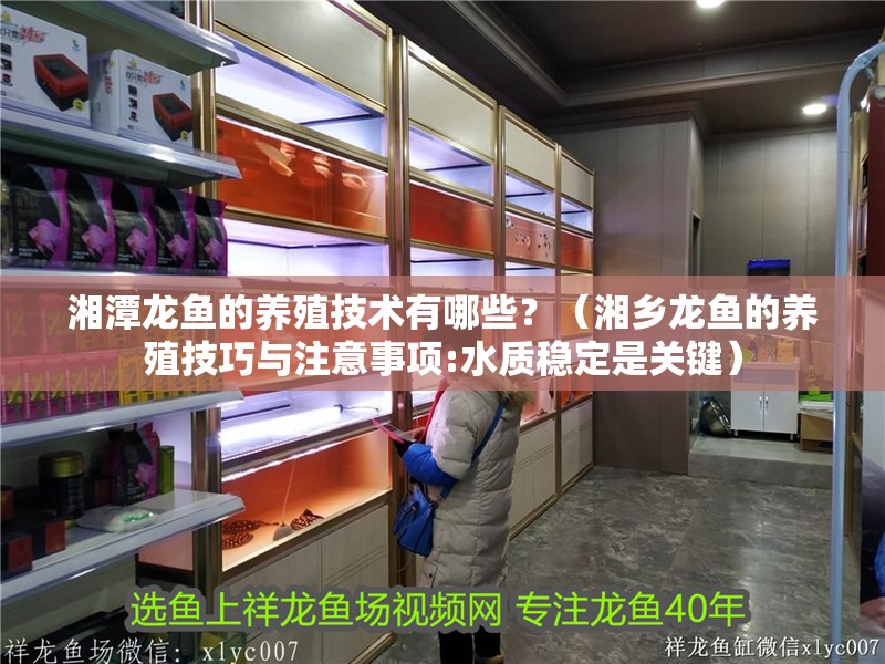 湘潭龍魚的養殖技術有哪些？（湘鄉龍魚的養殖技巧與注意事項:水質穩定是關鍵）