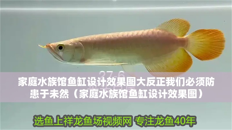 家庭水族館魚缸設(shè)計效果圖大反正我們必須防患于未然（家庭水族館魚缸設(shè)計效果圖）