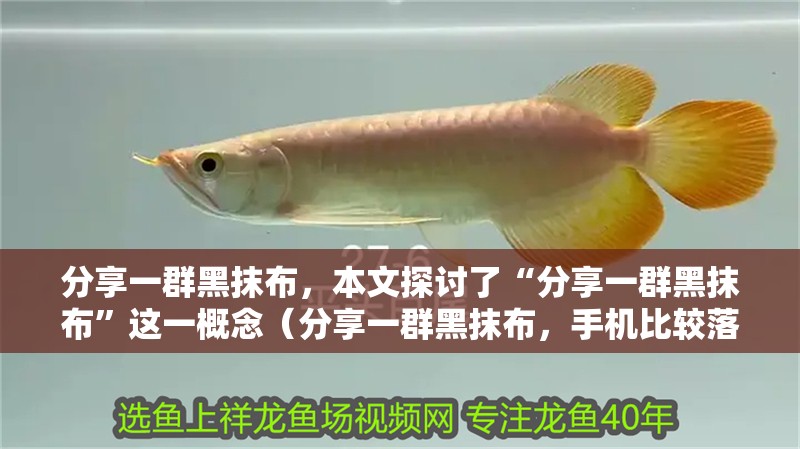 分享一群黑抹布，本文探討了“分享一群黑抹布”這一概念（分享一群黑抹布，手機比較落后）