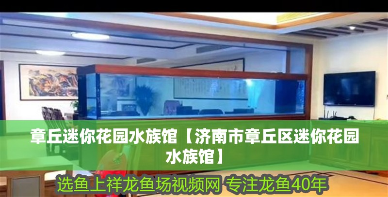 章丘迷你花園水族館【濟(jì)南市章丘區(qū)迷你花園水族館】